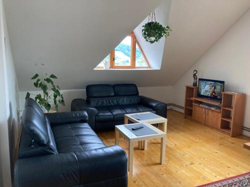 Jesenik Apartment | Apartmán pod Lázněma