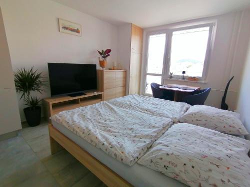 Roznov Pod Radhostem Apartment | Apartmán Radhošť