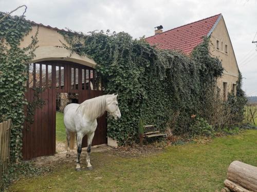 Mnisek pod Brdy Apartment | Apartmán U bělouše