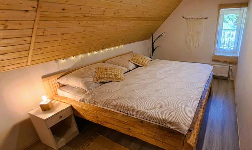 Jesenik Apartment | Apartmán u Ještěrky se saunou v ceně, Rejvízská 29, Jeseník