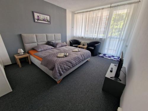 Karlovy Vary Apartment | Apartmán U Petra