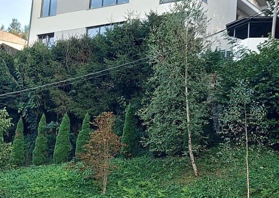 Ljubljana City Centre Apartment | apartma Golovec