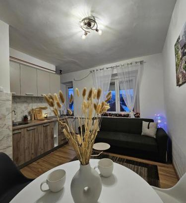 Kolasin Apartment | Apartman Begovic