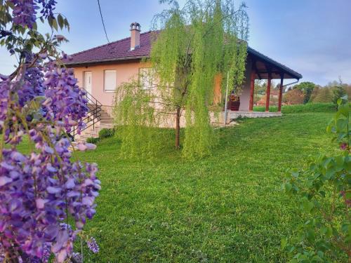 Vrujci Apartment | Apartman MatiNik Banja Vrujci