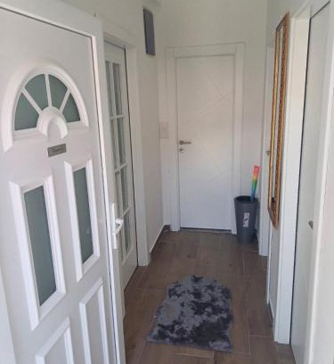 Pluzine Apartment | Apartman Milica
