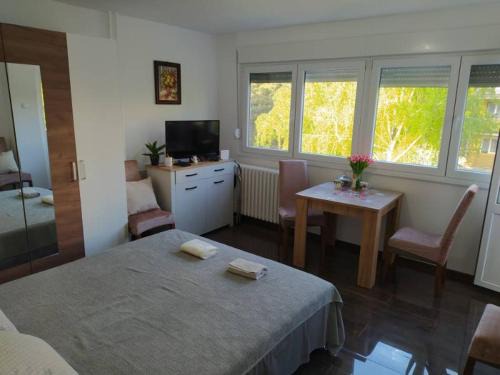 Pancevo Apartment | Apartman Stefan