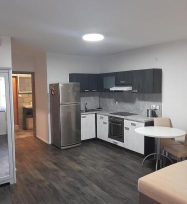 Horsovsky Tyn Apartment | Apartman u lesa