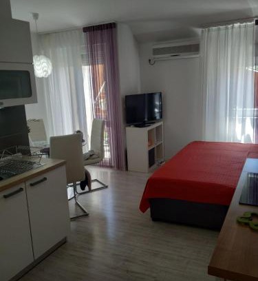 Mareda Apartment | Apartman Viola Mareda