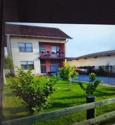 Nozicko Apartment | Apartmani Primus