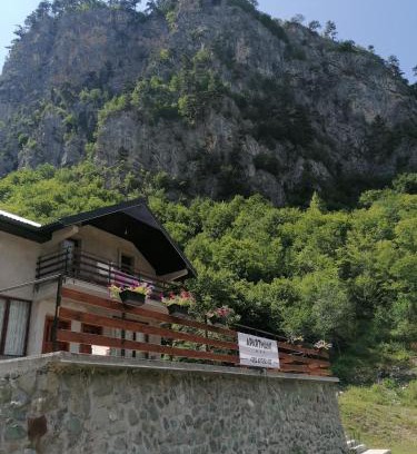 Montenegro House | Apartmani Tara i Zabojsko Dobrilovina