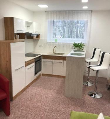 Zlin Apartment | Apartmans Les