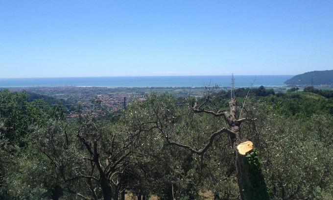 Castelnuovo Magra Apartment | Apartments Casa Sarticola