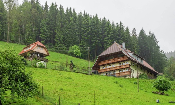 Muehlenbach Other | Apartment on a farm on the edge of the forest