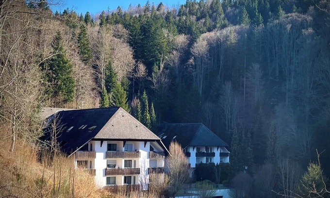 Triberg im Schwarzwald Apartment | Apartment 'Riese' with Balcony and Wi-Fi
