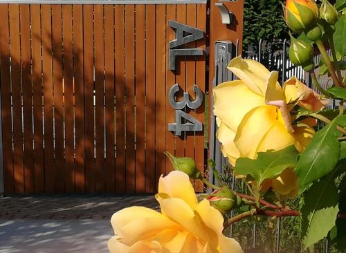 La Morra Apartment | Apartment AL34