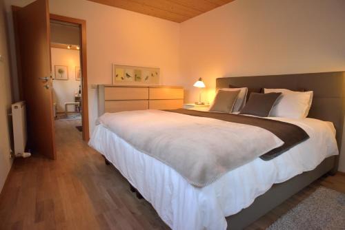Oetztal-Bahnhof Apartment | Apartment Amberg