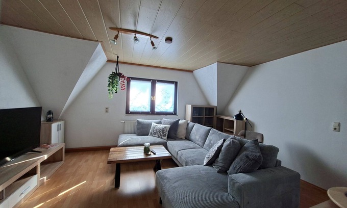 Gruenhain-Beierfeld Apartment | Apartment 'Ansimali Dachgeschoss' familyfriendly