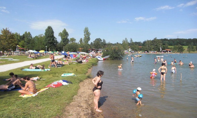 Oberkirch Apartment | Apartment at the rose garden