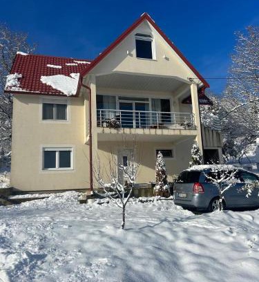 Poscenje Apartment | Apartment Bašović