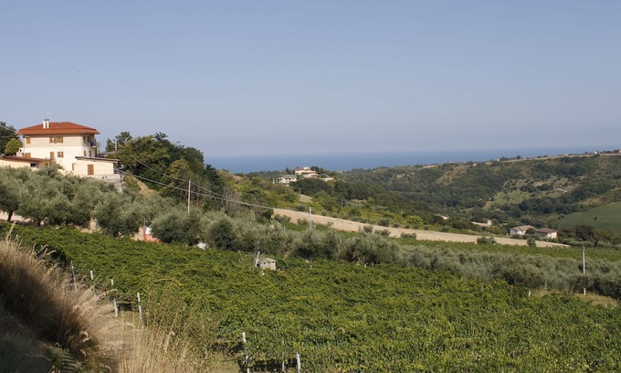 Lapedona Apartment | Apartment between the vineyards and the sea