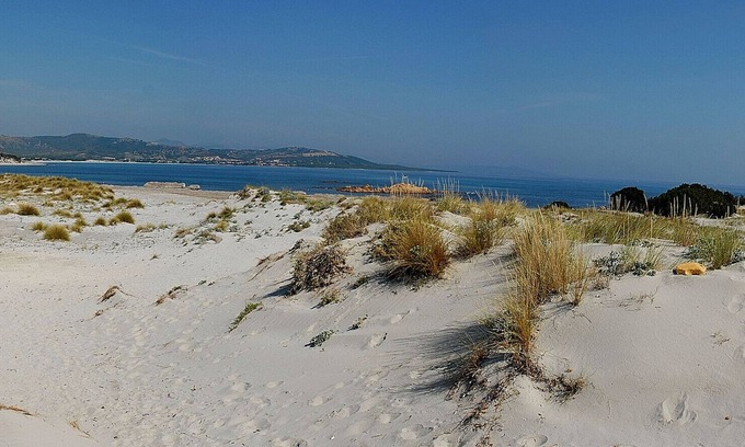 Siniscola Apartment | Apartment 'Bilocale A' with Private Terrace and Shared Garden
