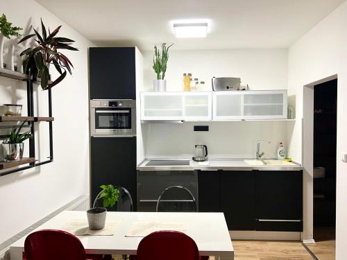 Brno Apartment | Apartment Brno- BBQ terrace
