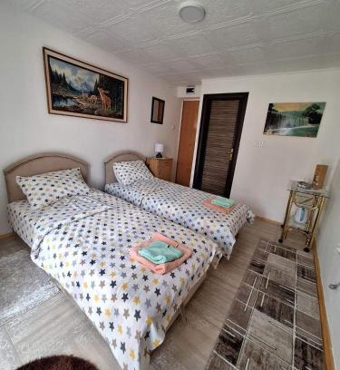 Pluzine Apartment | Apartment Buklija