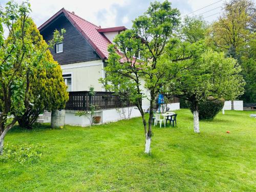 Grafenstein Apartment | Apartment Dolina 8a Kärnten KLagenfurt