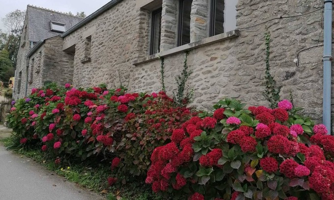 Bretteville Cottage | Apartment facing the sea, ideally located, fully furnished and equipped.