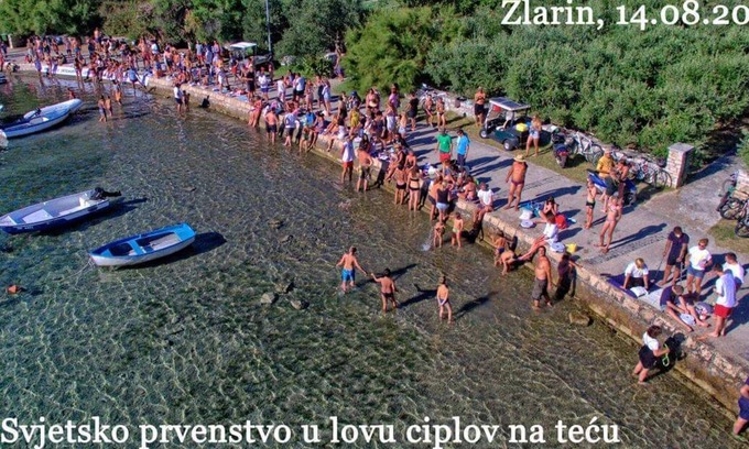 Sibenik Apartment | Apartment Fortuna Zlarin