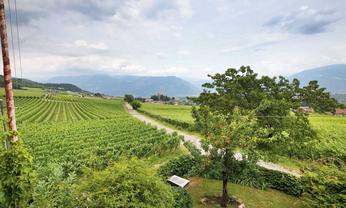 Berg/Monte Apartment | Apartment 'Harmony Apt 2' with Mountain View, Shared Garden and Wi-Fi