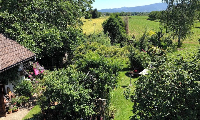Achern Apartment | Apartment "Haus Schwarzwaldblick" with Mountain View, Wi-Fi & Balcony
