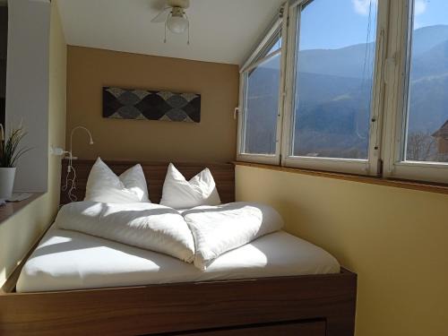 Plaus Apartment | Apartment Himmelreich 29