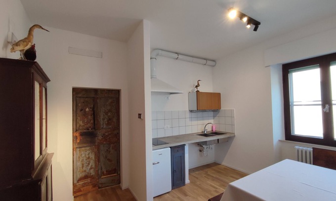 Fermo Apartment | Apartment 'Hoarder's Home Gallery' with Private Terrace, Private Garden and Air Conditioning