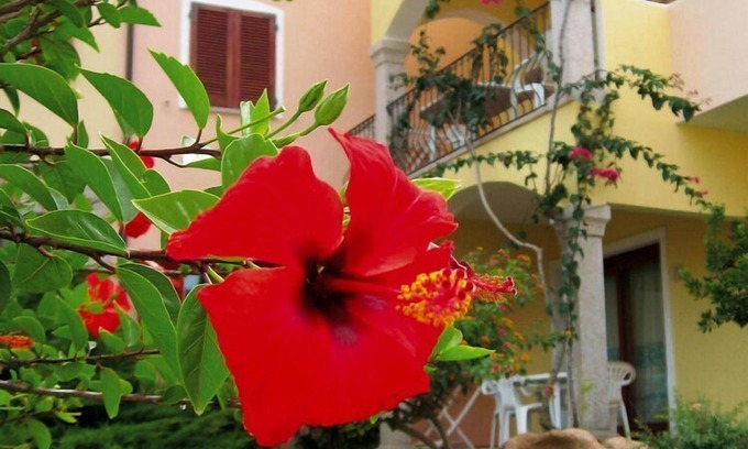 Badesi Apartment | Apartment in Badus with communal Pool