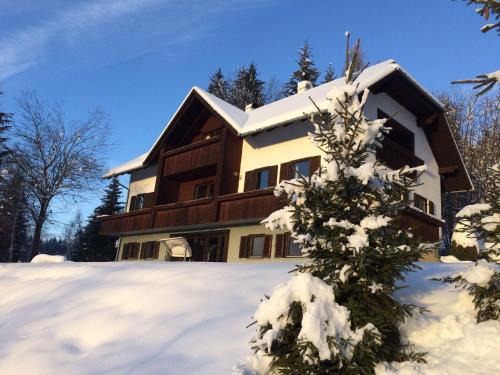 Fresach Apartment | Apartment in Mooswald in Carinthia with pool