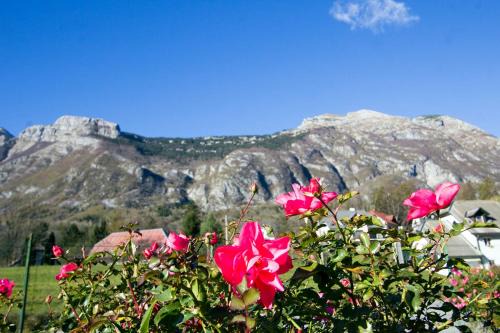 Bovec Apartment | Apartment Mavrica