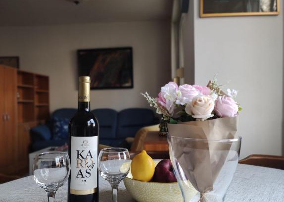Dorcol Apartment | Apartment Melano