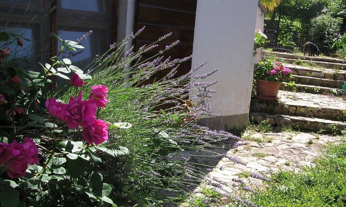 Motovun Apartment | Apartment Motovun 1 comfortable, spaceous, garden, terrace. view, parking