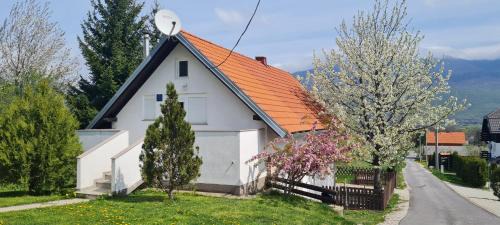 Vranovaca Apartment | Apartment Mrsinj