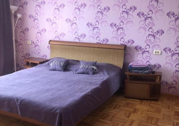 Ustinovskiy Apartment | Apartment near circus on Pushkinskaya