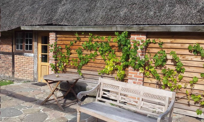 Kalkhorst Apartment | Apartment on the Baltic Sea in the beautiful Leonora forest