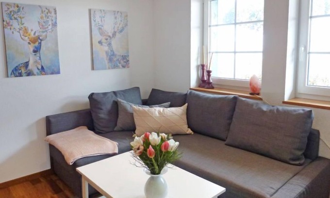 Voehrenbach Apartment | Apartment Oswaldenhof in Vöhrenbach - 3 persons, 1 bedrooms