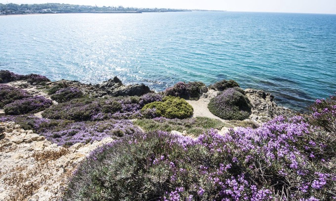 Punta Braccetto Apartment | Apartment 'Peonia' with Private Terrace, Wi-Fi and Air Conditioning