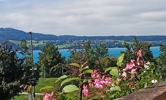 Weyregg am Attersee Apartment | Apartment Rooming Green with lake view from the balcony