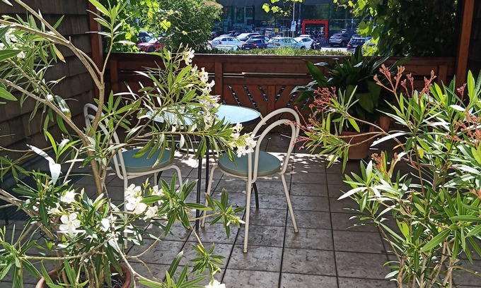 Weyregg am Attersee Apartment | Apartment Rooming Green w. large, private terrace near the lake
