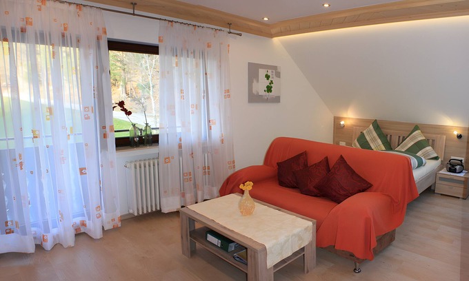 Elzach Apartment | Apartment 'Schlössle, 22 sqm' with Shared Terrace, Shared Garden and Wi-Fi
