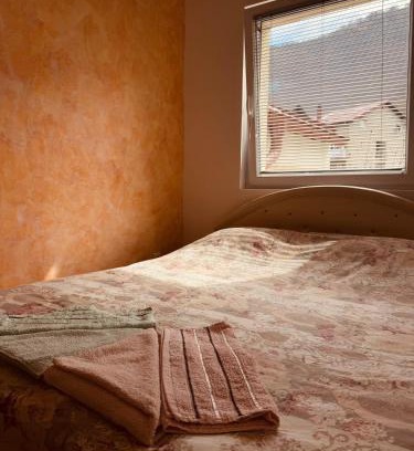 Pluzine Apartment | Apartment Silence B