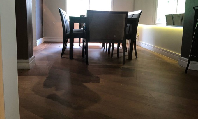Brooklin Paulista Apartment | Apartment SP, South Zone, Campo Belo, near shopping centers.