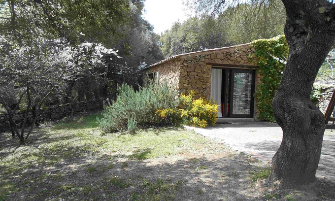 Aglientu Apartment | Apartment 'Vermentino' with Shared Pool, Private Garden and Air Conditioning